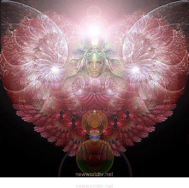 231068_10200116654372324_836479490_n