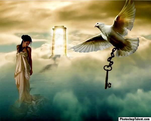 248254_149534778560229_701147072_n