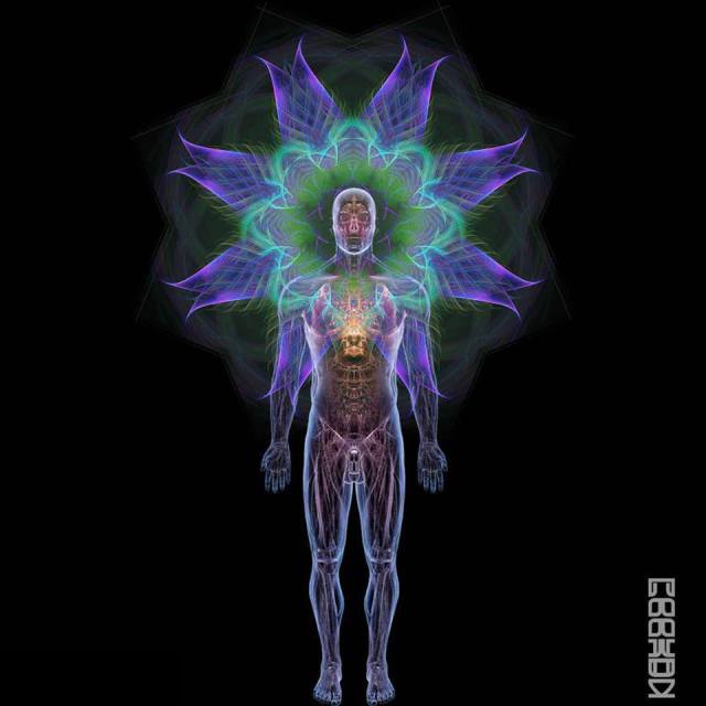 26336_697462623604299_289422082_n