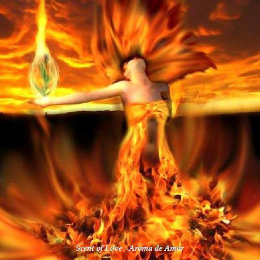 36576_578673132184810_518752313_n