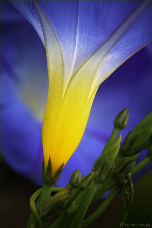 3679_469983246423968_259235025_n