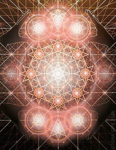 382551_10201229538891684_906489613_n