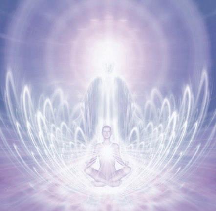 485244_219654304839449_1621944002_n