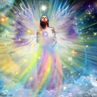 535773_488118621244081_1831659346_n