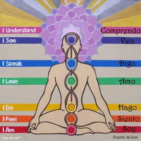 556512_273568936057753_335067532_n