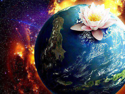 580503_332116036920187_35032156_n