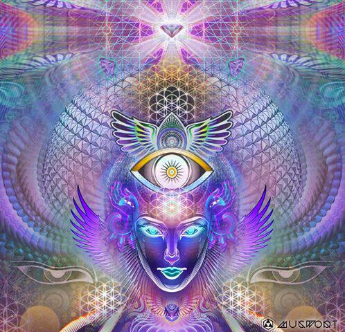 66920_599485523416371_1841804087_n