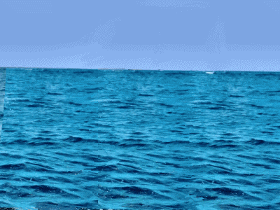 7-gifs-animados-delfines
