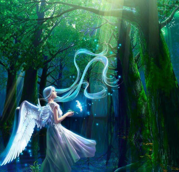 8958_521087931284276_624994110_n