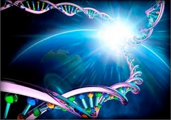 935663_522957364425426_1516198967_n