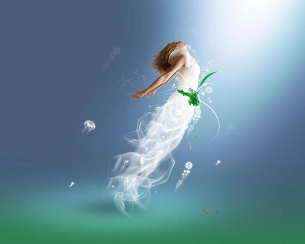 941861_546687525390983_124062239_n