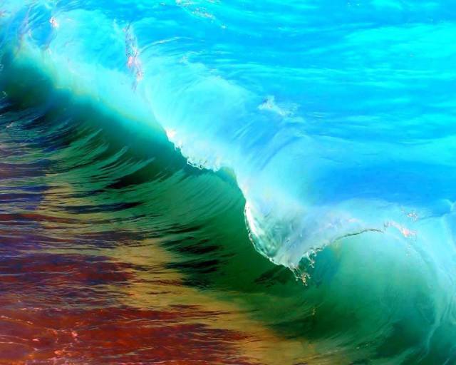 945393_149460231904289_1395241018_n