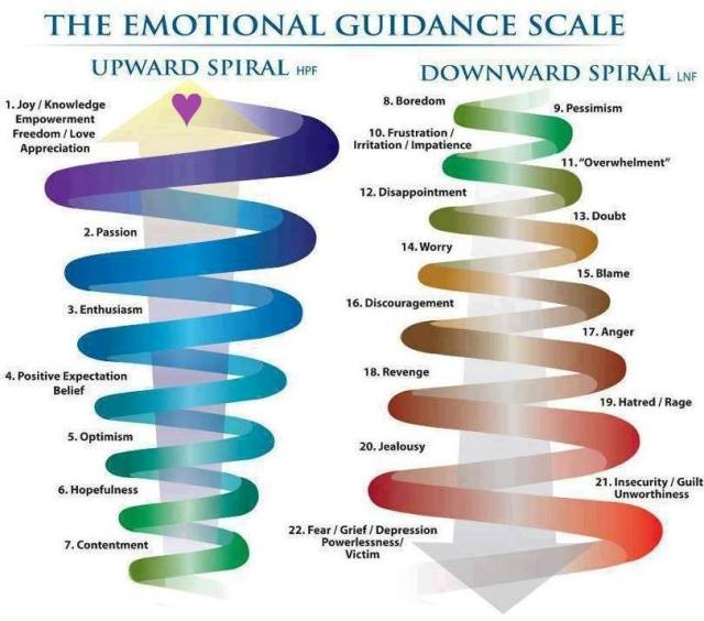 945527_574426169266573_1243586945_n