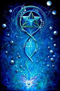 945601_582886358420554_1623240484_n