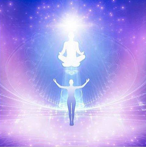 969164_642223755807578_110832636_n