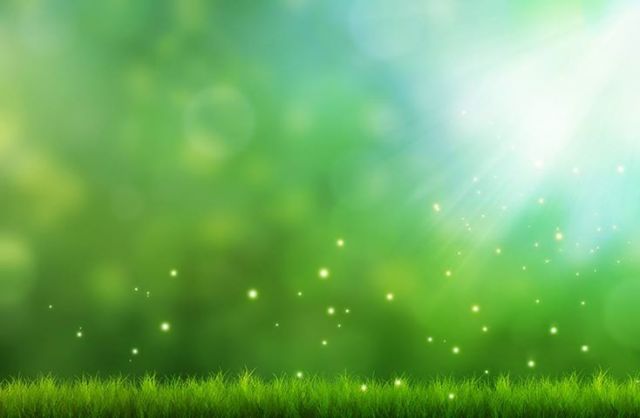 969426_589263831106863_1531889602_n