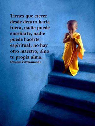 969892_398513663593172_1708053863_n