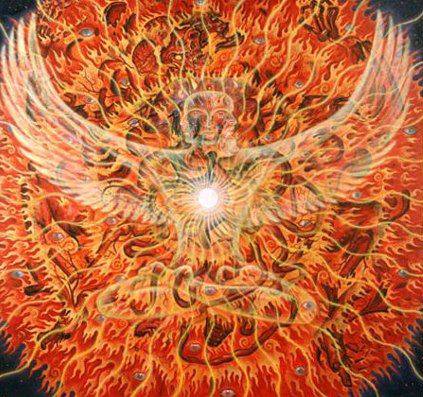 992899_170798156436042_2087940911_n