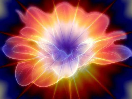 999831_693418570674417_1443621433_n