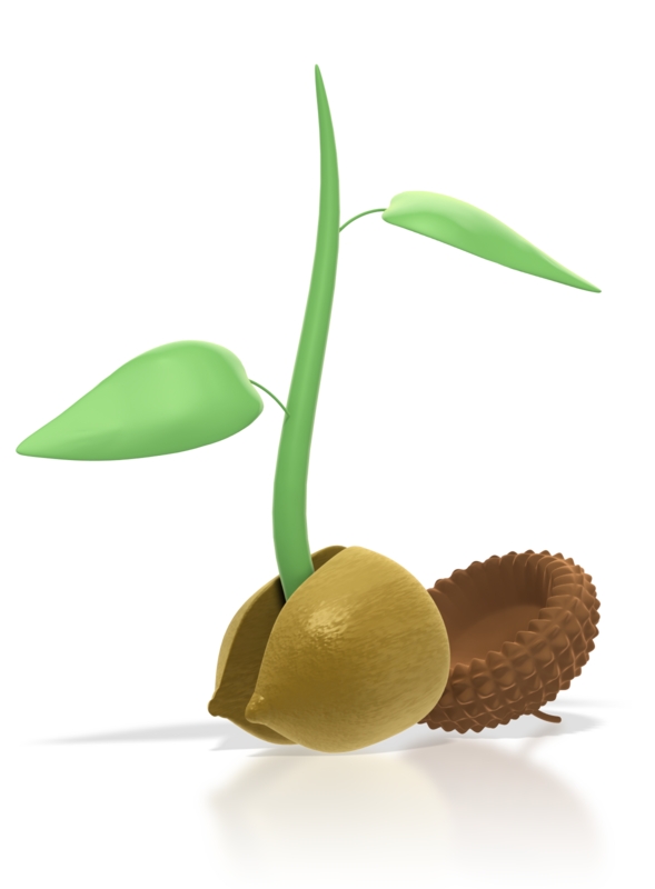 acorn_sprout_pc_800_40815