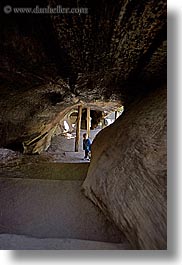 hollow-sequoia-tree-2