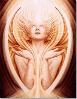 The_Secret_Rapture_Inspiracion