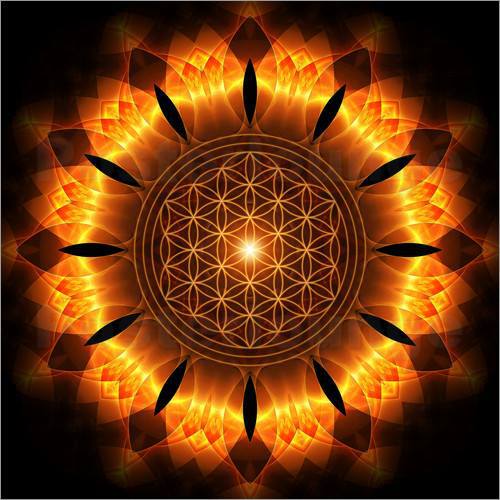 1002344_546445772059035_1799684515_n