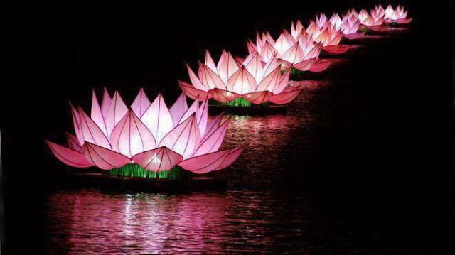 1003170_489848041098283_1561034271_n