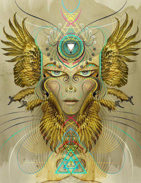 1003268_171956722986852_1623326075_n