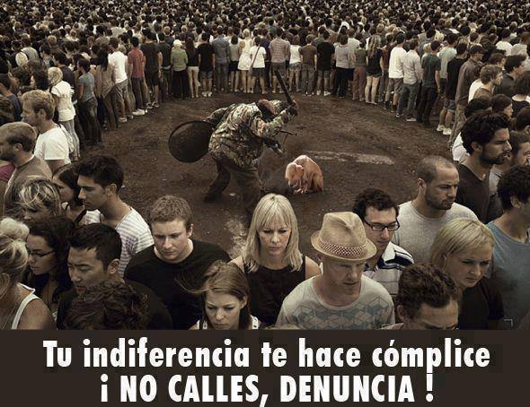 1003760_703863492961047_342056558_n