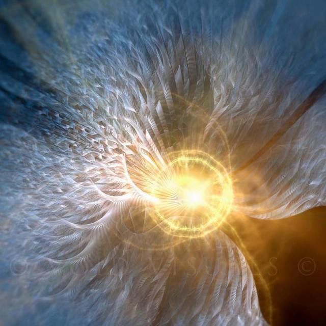 1012497_644767402201190_1265536805_n