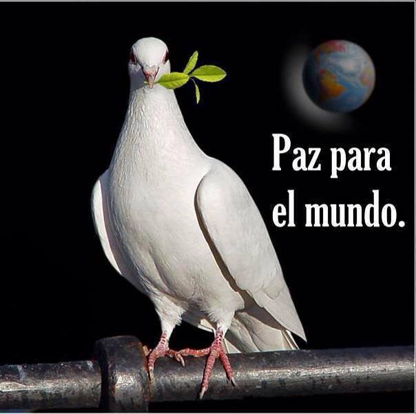 1012834_567452689972467_1642924527_n