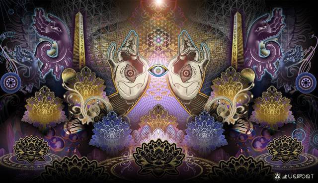 1013039_169567969892394_333291723_n