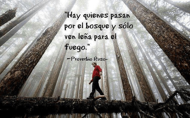 1017213_412557425523449_1790380507_n