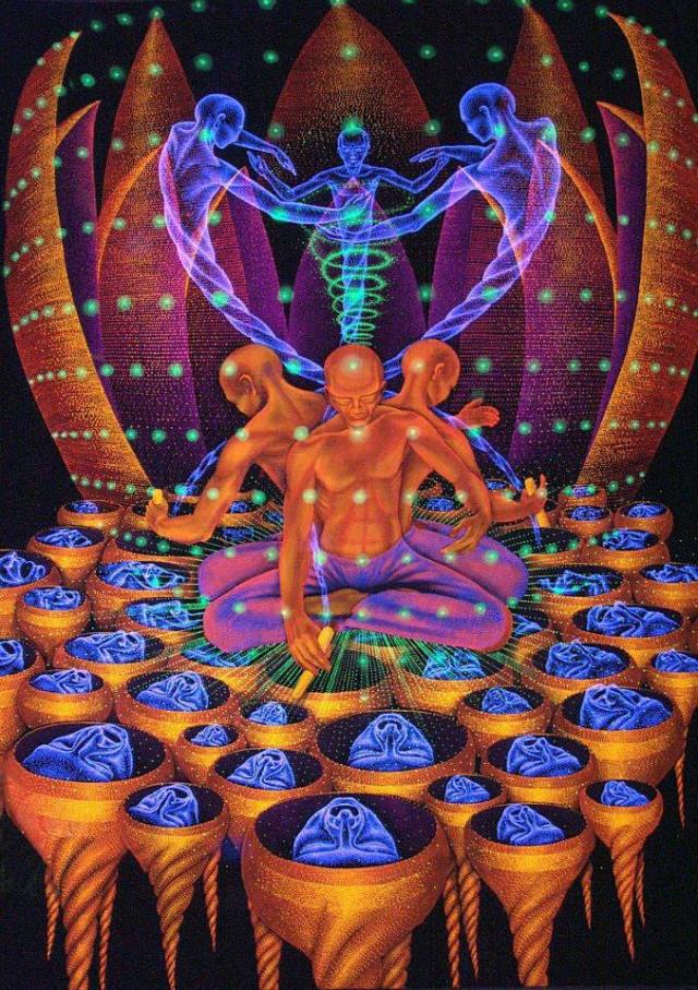 1017728_697223146961580_1626939410_n