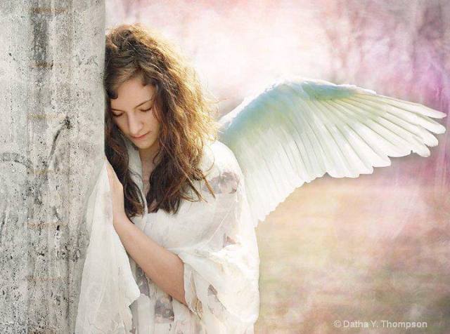 1069346_613039872061744_1739558216_n