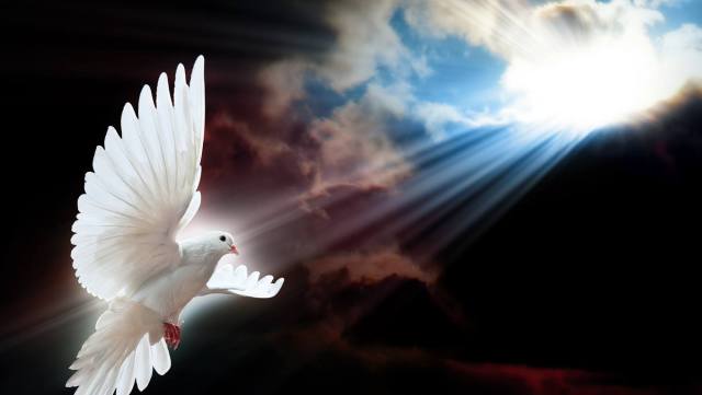 1077454_553874994677131_1865332018_o