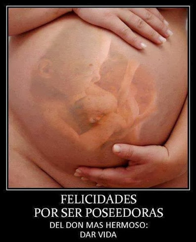 1079411_572214299491658_624754861_n