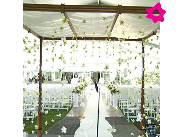 11672_1310664903_4e1f28c7da1dd