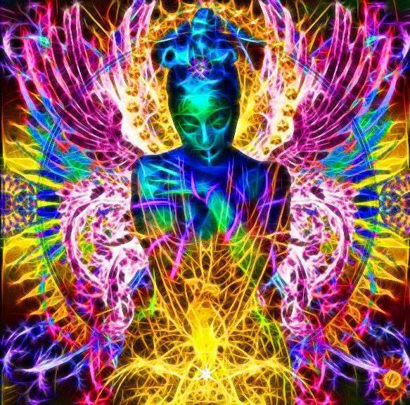 1170839_539765926090904_500678107_n