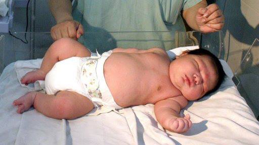 1176295_569842499740373_364230226_n