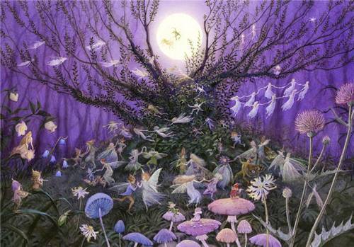 1185062_512811498798187_1571545975_n