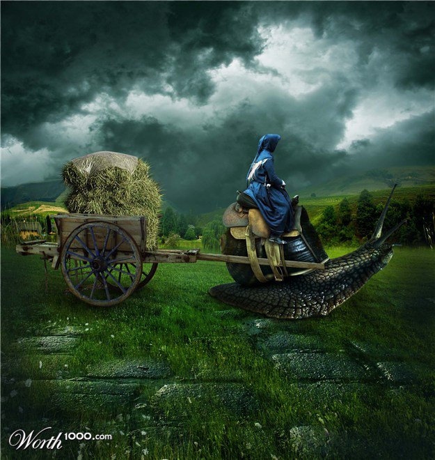 1185228_495647763861168_544641954_n