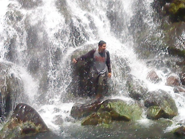 15727_1365710537010_1059045517_1064183_1089050_n