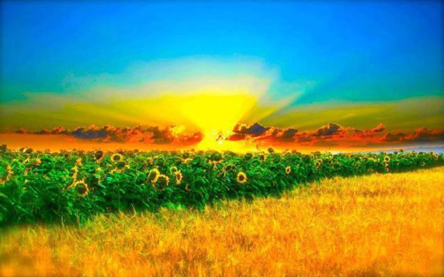 181289_167540603419659_2043065386_n