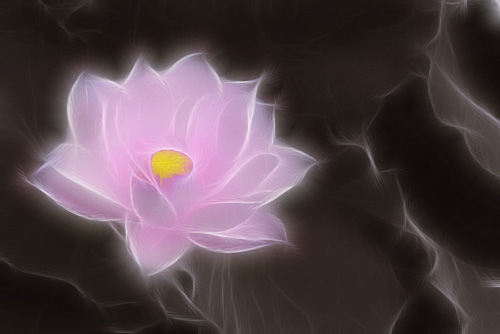 2233373559_aa7de2d0eb