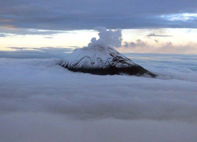 300662_638538329508528_1573311819_n