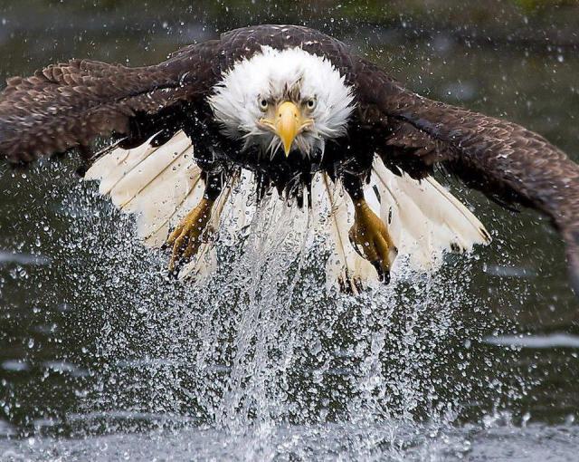 310880_509822285721868_1885974972_n