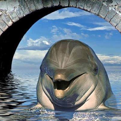 521869_554325794632051_1758562715_n