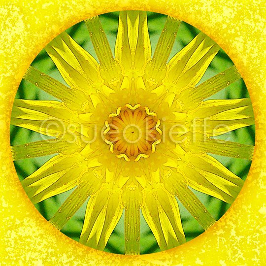 539843_443578089059205_775125711_n